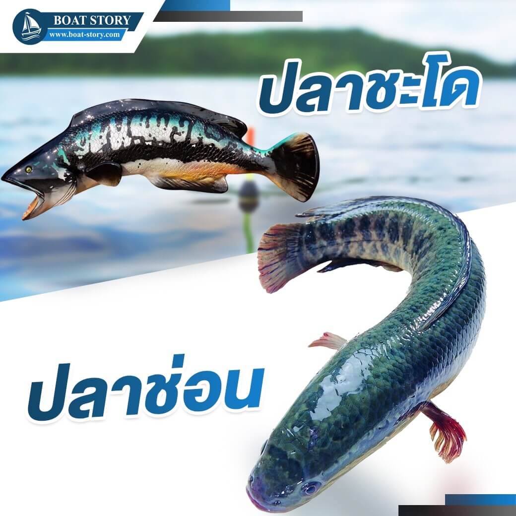 รอกตกปลาเบท 02